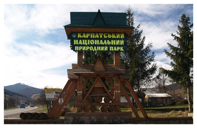 Работников Карпатского нацпарка подозревают в незаконной вырубке деревьев более чем на 400 тысяч гривен