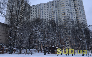 Завтра на Київщині очікується відлига та сильний вітер