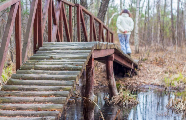 Изъятие или выкуп земель природно-заповедного фонда из коммунальной собственности возможны только по обязательному согласованию с Верховной Радой, - Верховный Суд