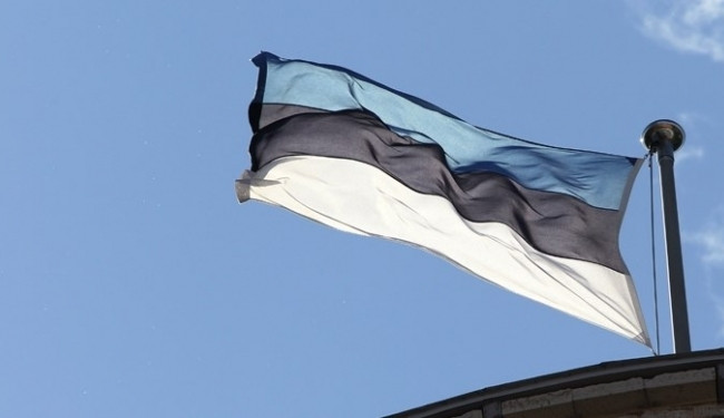 Эстония предоставит Украине пакет военной помощи на 80 млн евро: что туда войдет