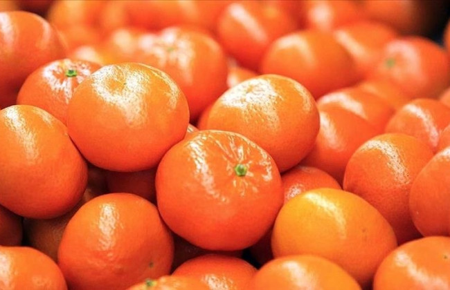 В Украине значительно выросли цены на мандарины из Турции