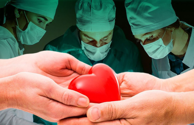 Правительство перераспределило 212 млн гривен на проведение трансплантаций органов в Украине