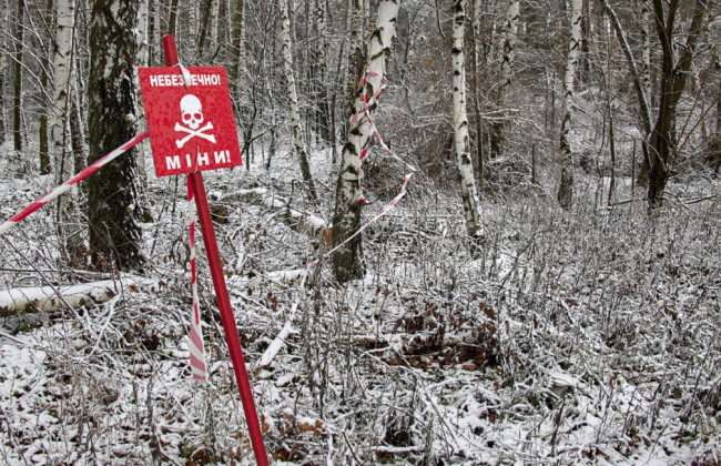На Миколаївщині чоловіки на автомобілі їхали по дрова і підірвалися на міні, — ДСНС