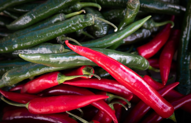 В Киеве пройдут продуктовые ярмарки: даты и локации