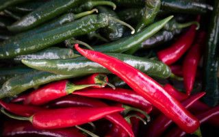 У Києві пройдуть продуктові ярмарки: дати та локації