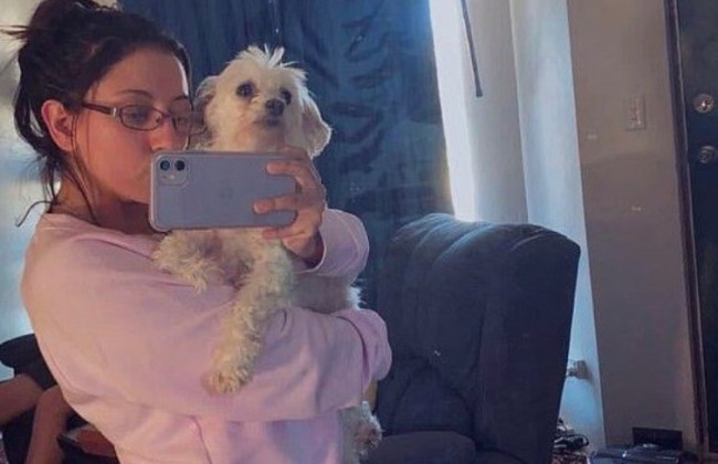 В Австралии наказали женщину, которая сбросила пса с крыши торгового центра