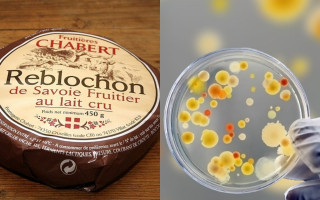 В Україну могли завезти небезпечний французький сир: у продукті знайшли стафілокок