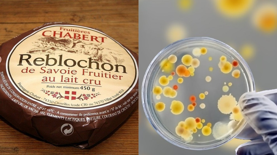 В Україну могли завезти небезпечний французький сир: у продукті знайшли стафілокок
