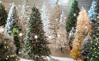 Выбираете искусственную елку на новогодние праздники: что нужно знать перед покупкой
