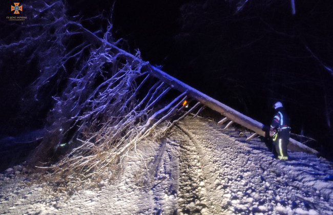 Непогода на Закарпатье повалила десятки деревьев, создавая снежные ловушки на дорогах: фото