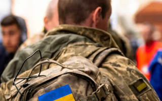 Мобилизация украинцев за рубежом: законопроект появится в январе, — нардеп, видео