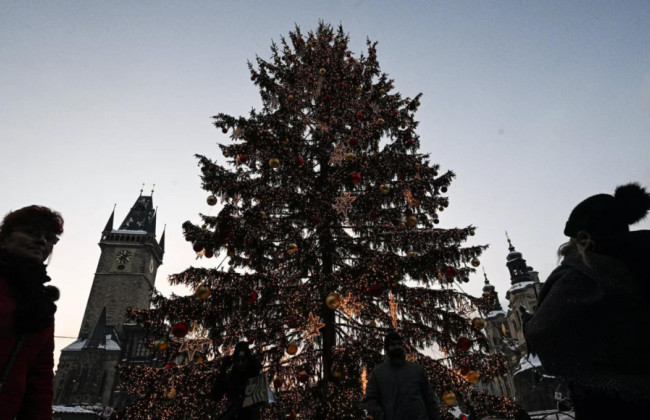 В Бельгии упала 20-метровая рождественская елка: одна женщина погибла, еще два человека – травмированы