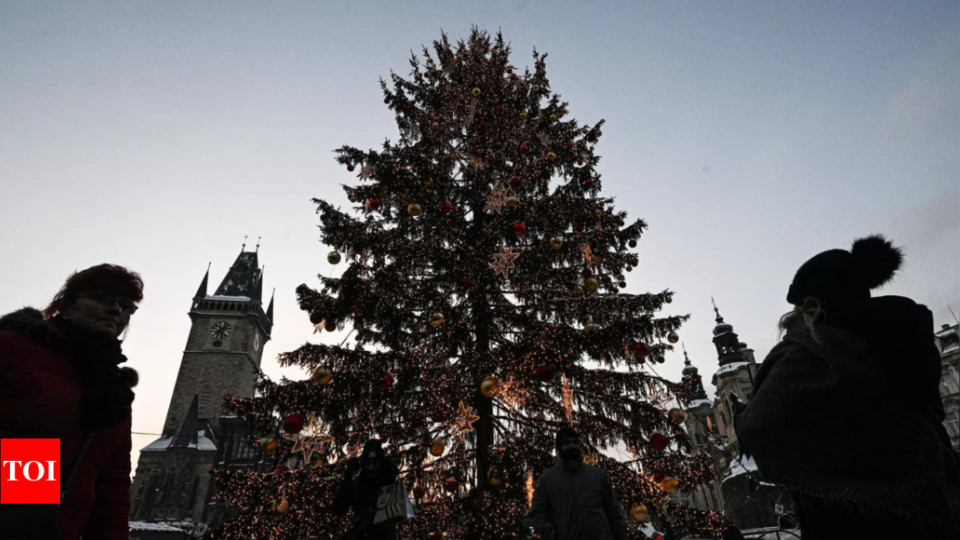 У Бельгії впала 20-метрова різдвяна ялинка: одна жінка загинула, ще двоє людей – травмовані