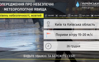 Киевлян предупреждают о сильных порывах ветра 26 декабря