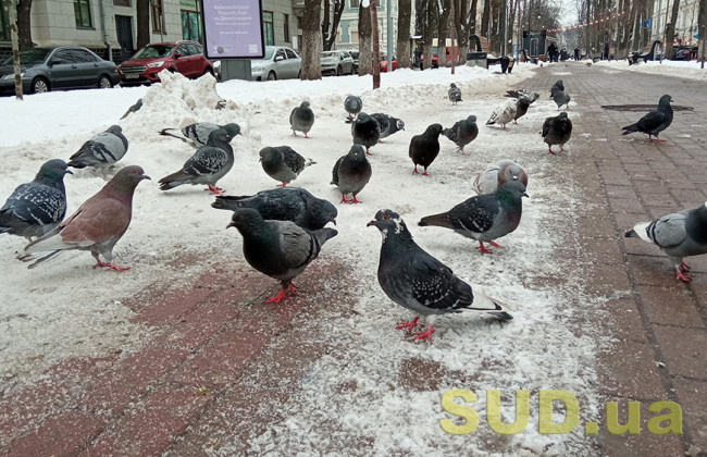 Мартовская погода: в Киеве зафиксировали рекордную температуру