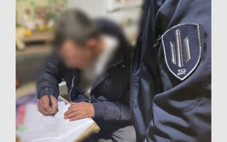 На Кіровоградщині незаконно знищили понад 1000 дерев у лісництві під виглядом санітарної чистки