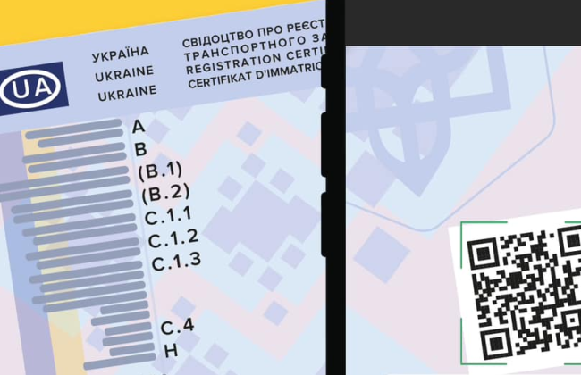 В 2024 году водителям начнут выдавать водительские права нового образца: что известно