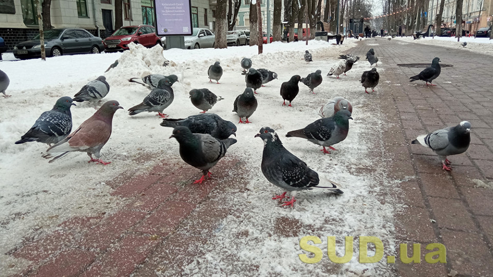 Мартовская погода: в Киеве зафиксировали рекордную температуру