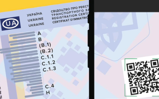 У 2024 році водіям почнуть видавати посвідчення водія нового зразка: що відомо