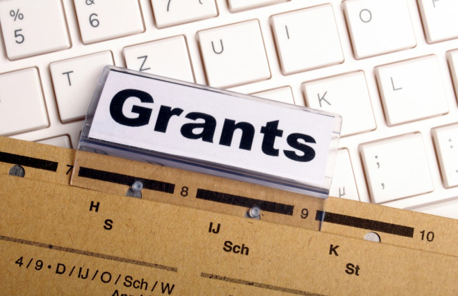 ГНС разъяснила нюансы налогообложения грантов при их получении ФЛП