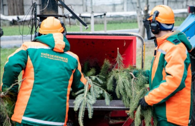 С 4 января в Киеве заработают 44 пункта утилизации елок: карта