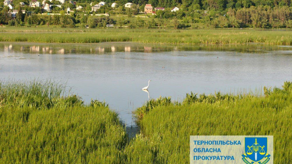 Державі повернули землі тернопільського заказника вартістю 304,8 млн грн