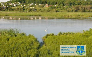 Державі повернули землі тернопільського заказника вартістю 304,8 млн грн