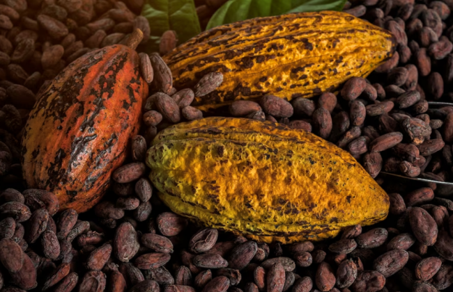 Товары, которые больше всего выросли и потеряли в цене: оценка состояния товарных рынков в 2023 году