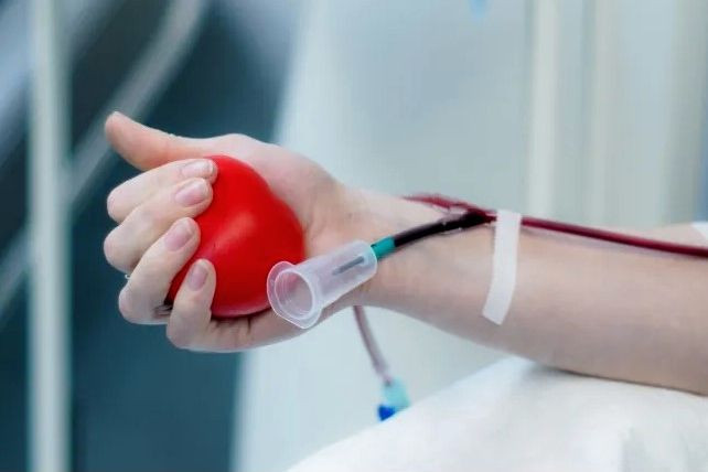 В Минздраве сообщили, кто может быть донором крови и какие существуют противопоказания