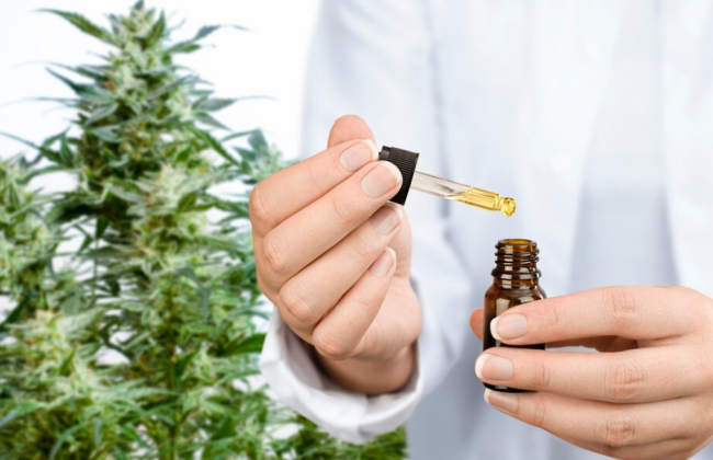 Каким будет «жизненный цикл» лекарств на основе медицинского каннабиса: в Минздраве ответили