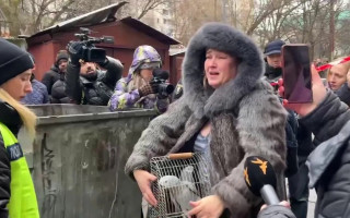 Російська атака на Київ: рятувальники витягли з’під завалів двох папуг, відео