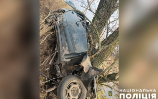 Смертельна ДТП на Полтавщині: автомобіль з’їхав у кювет і врізався в дерево