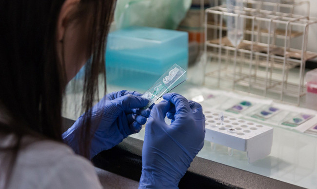 Как украинцам за границей сдать образцы ДНК для поиска лиц, пропавших при особых обстоятельствах