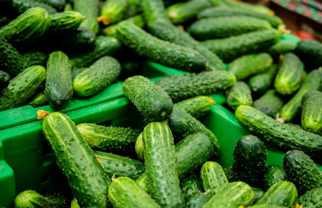 В Украине подорожал популярный овощ: когда ситуация может стабилизироваться