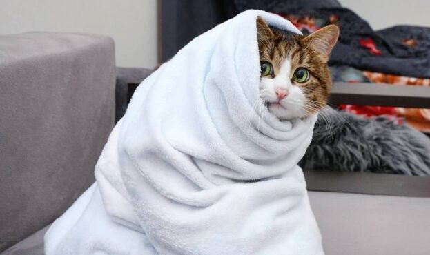 Украину накроет новая волна холода: температура достигнет -20 градусов