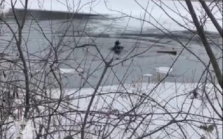 В Ужгороде в 5-градусный мороз мужчина провалился под лед: видео