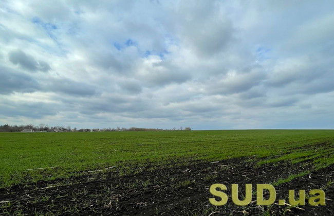 Госгеокадастр сообщил об индексации нормативной денежной оценки земель за 2023 год