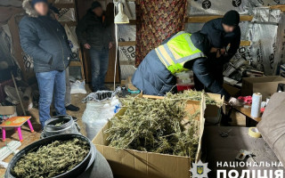 Изъято более 60 кг каннабиса на 18 миллионов гривен: в Киеве ликвидировали масштабный наркотрафик