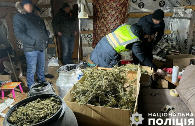 Изъято более 60 кг каннабиса на 18 миллионов гривен: в Киеве ликвидировали масштабный наркотрафик