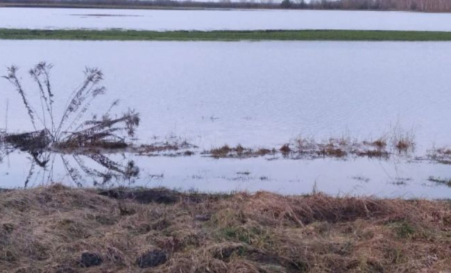 Украинцев предупредили о повышении уровней воды в реках: где и когда