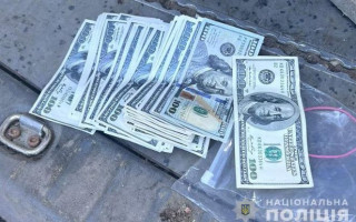 $7 000 с уклонистов за «зеленый коридор» в Румынию: на Закарпатье разоблачили схему