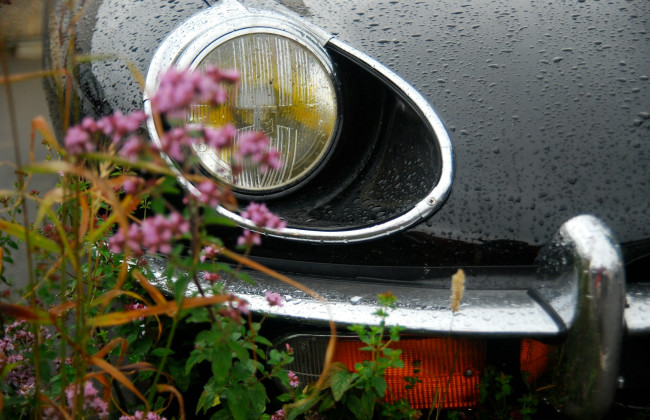 Водители могут забронировать номерные знаки для авто онлайн: как это сделать