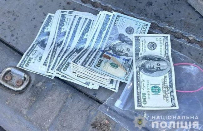 $7 000 с уклонистов за «зеленый коридор» в Румынию: на Закарпатье разоблачили схему