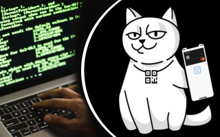 Monobank подвергся серии массированных DDoS-атак
