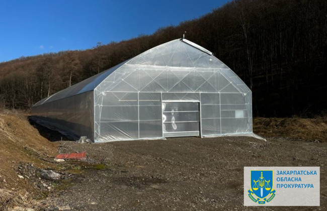 Троих жителей Закарпатья подозревают в присвоении 3 млн грн грантовых средств ЕС на восстановление лесов