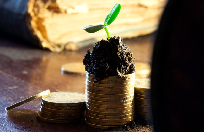 С какого периода и на основании чего применяется льгота по плате за землю: разъяснение