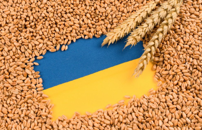 Болгария размышляет о введении тарифов и квот на импорт украинского зерна, — СМИ