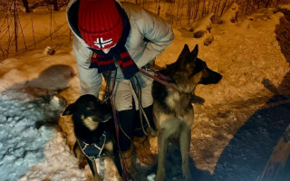 У Києві поліція знайшла загублених собак та розшукала власницю, фото