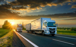 Доступ к системе «Шлях» временно не работает: что известно