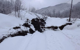 На Закарпатье произошел оползень площадью 10,5 гектара, фото